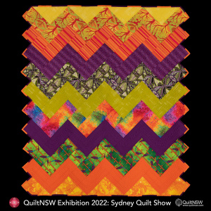 Stationary Machine Quilting Award: Amateur        
